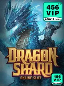 Imagem destacando os serviços VIP no 456vip para jogadores.