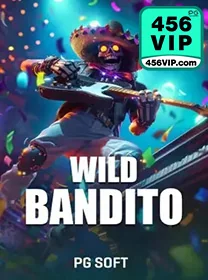 Diversidade de esportes disponíveis na 456vip.com